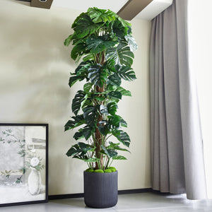 Künstliche Monsteras – Monstera Kunstpflanze online kaufen