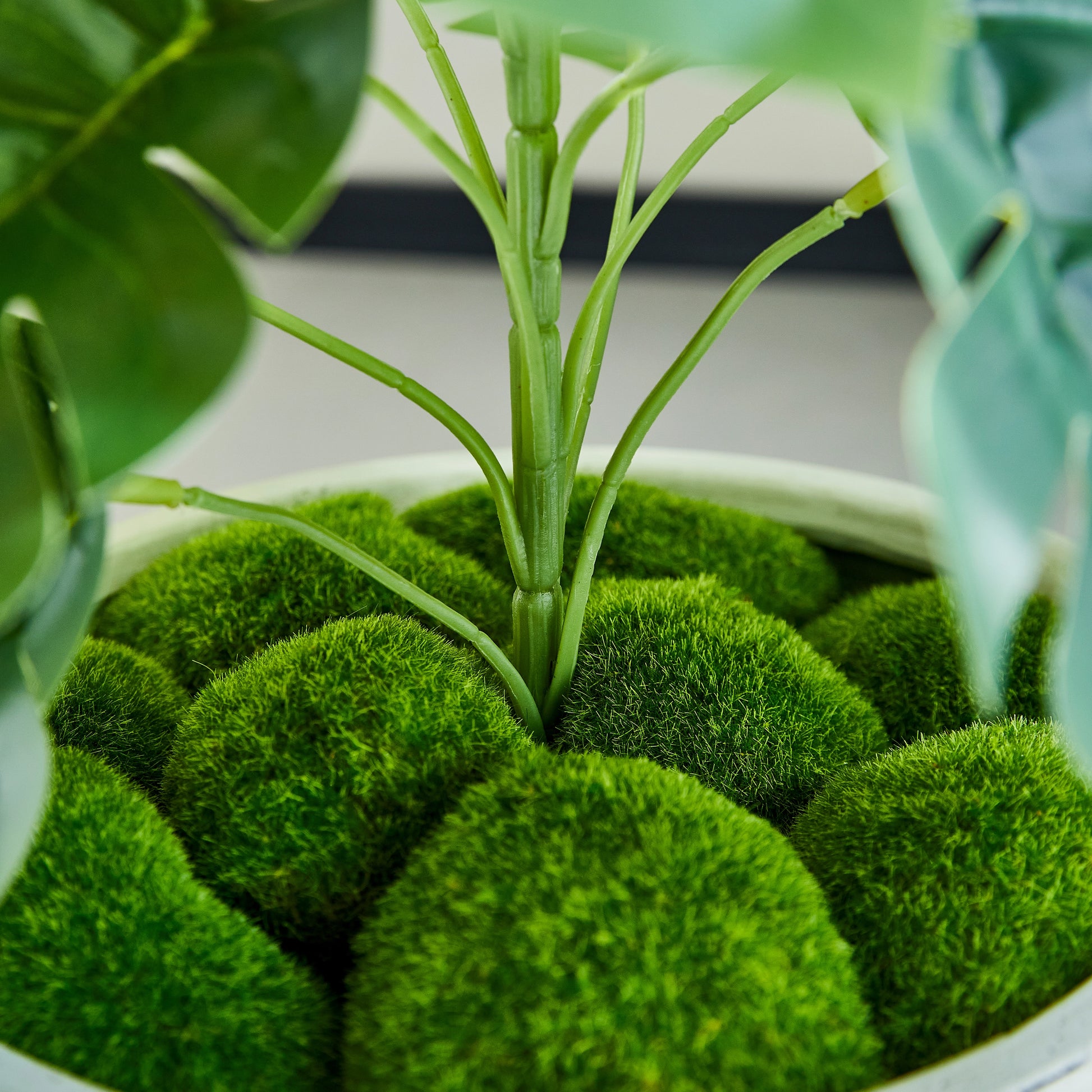 Künstlicher Monstera – Alenia | 50 cm