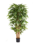 Künstlicher Bambus – Nayoko | 150 cm