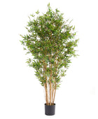 Künstlicher Bambus – Renjirō | 180 cm
