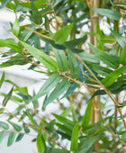 Künstlicher Bambus – Renjirō | 180 cm