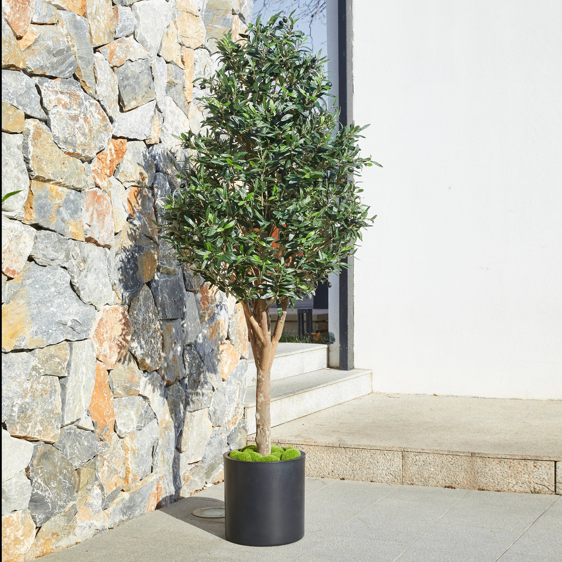 Künstlicher Olivenbaum – Callistus | 170 cm