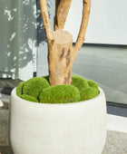 Künstlicher Olivenbaum – Lysandra | 120 cm