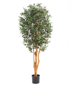 Künstlicher Olivenbaum – Lysandra | 180 cm