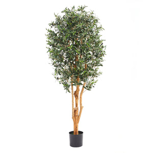 Künstlicher Olivenbaum – Lysandra | 180 cm