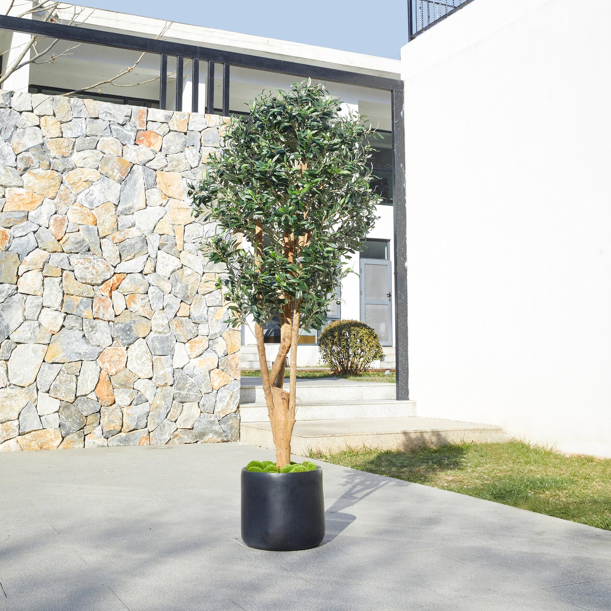 Künstlicher Olivenbaum – Lysandra | 180 cm