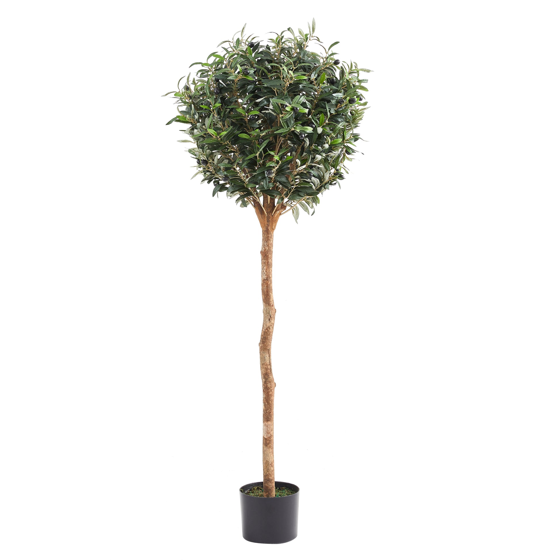 Künstlicher Olivenbaum – Thalior | 150 cm