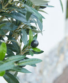 Künstlicher Olivenbaum – Nerio | 75 cm
