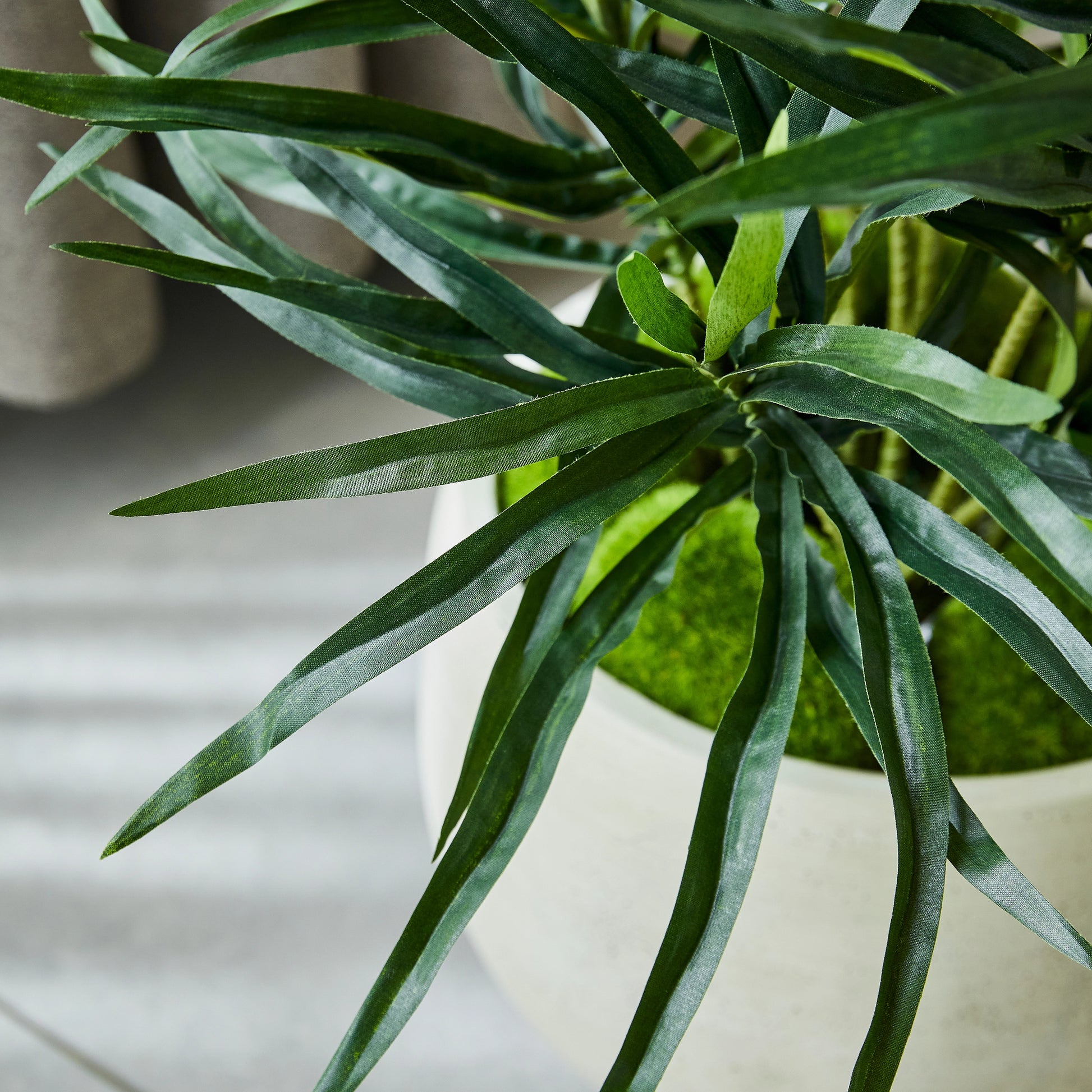 Künstliche Dracaena Reflexa – Orielle | 70 cm