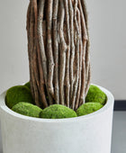 Künstlicher Ficus – Amadior | 150 cm