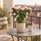 Künstliche Steck-Bougainvillea - Elly | 50 cm rosa