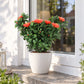 Künstliche Steck-Camellia - Susan | 47 cm