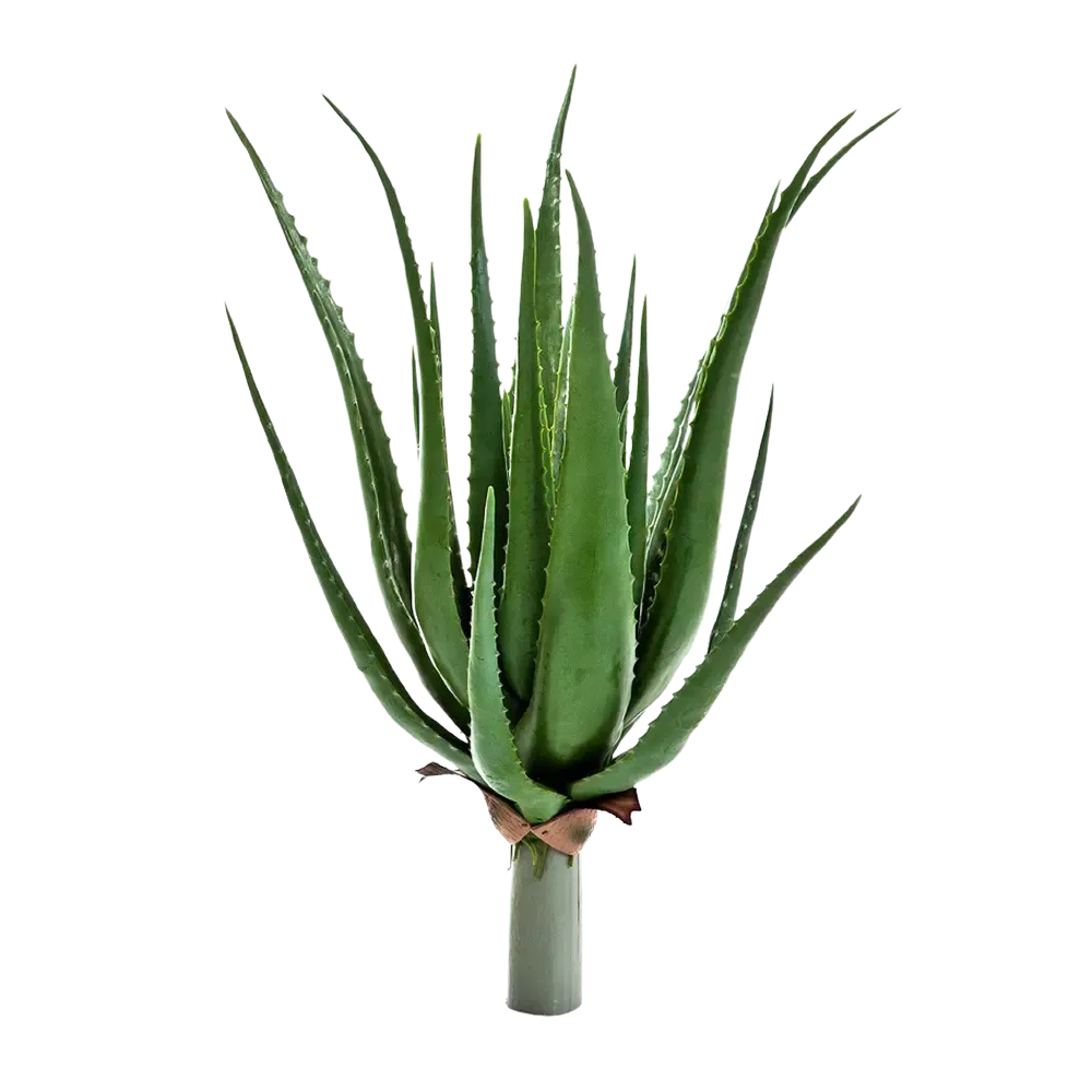 XunYee 4er-Set Künstliche Sukkulenten – Große, Realistische Aloe-Pflanzen Für Deko & DIY