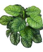 Künstliche Calathea - Clara auf transparentem Hintergrund mit echt wirkenden Kunstblättern in natürlicher Anordnung. Künstliche Calathea - Clara hat die Farbe Natur und ist 45 cm hoch. | aplanta Kunstpflanzen