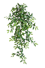 Hochwertige künstliche Hängepflanze auf transparentem Hintergrund mit echt wirkenden Kunstblättern in natürlicher Anordnung. Künstliche Dreimasterblume - Amy hat die Farbe Natur und ist 105 cm hoch. | aplanta Kunstpflanzen