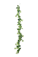 Hochwertige künstliche Hängepflanze auf transparentem Hintergrund mit echt wirkenden Kunstblättern in natürlicher Anordnung. Künstliche Efeu Girlande - Anne hat die Farbe Natur und ist 180 cm hoch. | aplanta Kunstpflanzen