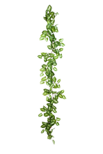 Künstliche Nephthytis Girlande - Annabell, 180 cm, Kunstpflanze von aplanta, in Natur, für drinnen