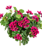 Hochwertige Kunstpflanze Geranie auf transparentem Hintergrund mit echt wirkenden Kunstblättern in natürlicher Anordnung. Künstliche Geranie - Andreas hat die Farbe Natur und ist 35 cm hoch. | aplanta Kunstpflanzen