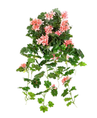 Hochwertige künstliche Hängepflanze auf transparentem Hintergrund mit echt wirkenden Kunstblättern in natürlicher Anordnung. Künstliche Hänge-Geranie - Adam hat die Farbe Pfirsich und ist 72 cm hoch. | aplanta Kunstpflanzen