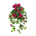 Hochwertige künstliche Hängepflanze auf transparentem Hintergrund mit echt wirkenden Kunstblättern in natürlicher Anordnung. Künstliche Hänge-Geranie - Arne hat die Farbe Natur und ist 72 cm hoch. | aplanta Kunstpflanzen