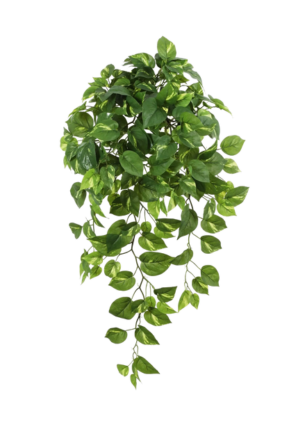 Künstlicher Hänge-Pothos - Bella | 85 cm