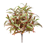 Künstliche Grünlilie - Berfin | 40 cm auf transparentem Hintergrund mit echt wirkenden Kunstblättern in natürlicher Anordnung. | aplanta Kunstpflanzen