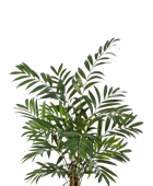 Hochwertige Kunstpalme auf transparentem Hintergrund mit echt wirkenden Kunstblättern in natürlicher Anordnung. Künstliche Bergpalme - Chantal hat die Farbe Natur und ist 110 cm hoch. | aplanta Kunstpflanzen