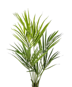 Hochwertige Kunstpalme auf transparentem Hintergrund mit echt wirkenden Kunstblättern in natürlicher Anordnung. Künstliche Kentia Palme - Cataleya hat die Farbe Natur und ist 140 cm hoch. | aplanta Kunstpflanzen