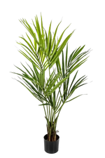 Hochwertige Kunstpalme auf transparentem Hintergrund mit echt wirkenden Kunstblättern in natürlicher Anordnung. Künstliche Kentia Palme - Cataleya hat die Farbe Natur und ist 140 cm hoch. | aplanta Kunstpflanzen