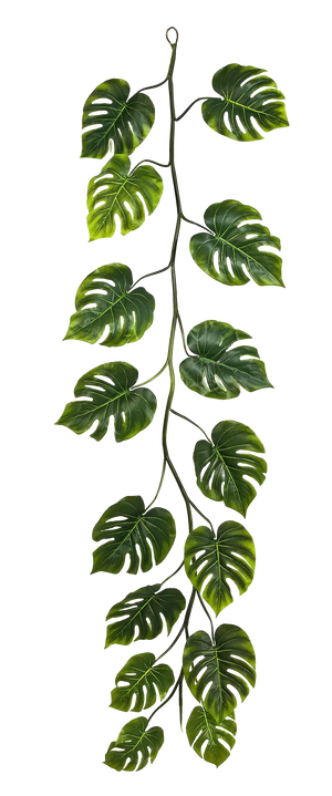 Künstliche Monstera Girlande - Collin | 230 cm