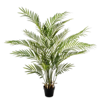 Hochwertige Kunstpalme auf transparentem Hintergrund mit echt wirkenden Kunstblättern in natürlicher Anordnung. Künstliche Goldfruchtpalme - Eva hat die Farbe Natur und ist 130 cm hoch. | aplanta Kunstpflanzen