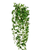 Hochwertige künstliche Hängepflanze auf transparentem Hintergrund mit echt wirkenden Kunstblättern in natürlicher Anordnung. Künstlicher Efeu - Friederike hat die Farbe Natur und ist 85 cm hoch. | aplanta Kunstpflanzen