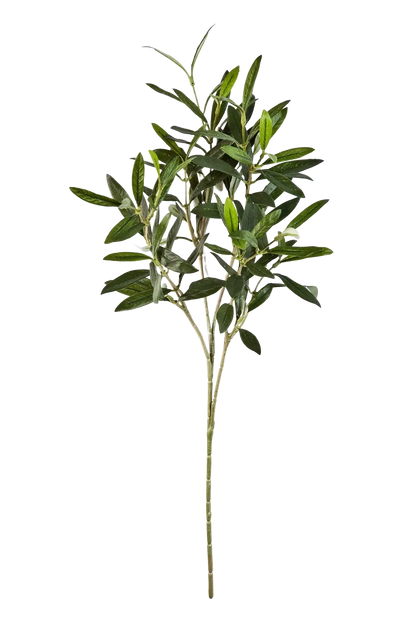 olivenbaum zweige Künstlicher Olivenbaum-Zweig - Gero | 50 cm