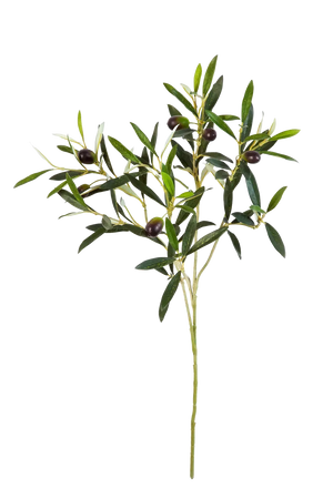 Künstlicher Olivenbaum-Zweig - Georgios | 50 cm
