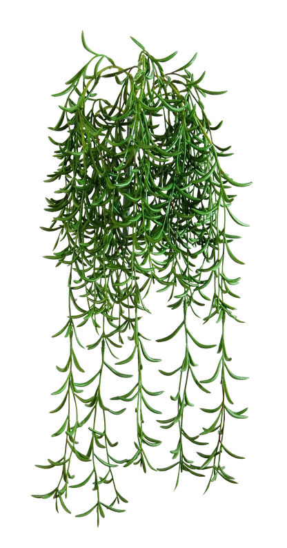 Künstliche Hänge-Sukkulente - Henriette, 45 cm, Kunstpflanze von aplanta, Steckpflanze, in Natur, für drinnen