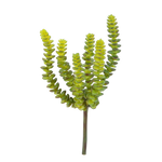 Künstliche Crassula - Hedi, 17 cm, Kunstpflanze von aplanta, Steckpflanze, für drinnen