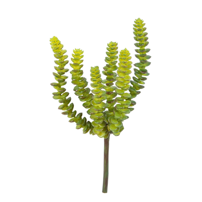 Künstliche Crassula - Hedi, 17 cm, Kunstpflanze von aplanta, Steckpflanze, für drinnen