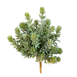 Künstliche Sedum - Helin, 20 cm, Kunstpflanze von aplanta, Steckpflanze, für drinnen