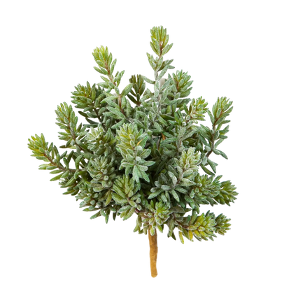 Künstliche Sedum - Helin, 20 cm, Kunstpflanze von aplanta, Steckpflanze, für drinnen