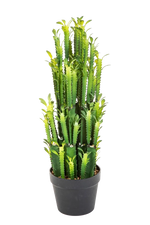 Künstlicher Kaktus - Hermann auf transparentem Hintergrund mit echt wirkenden Kunstblättern. Diese Kunstpflanze gehört zur Gattung/Familie der "Kakteen" bzw. "Kunst-Kakteen".