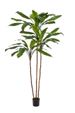 Künstliche Lilie - Isabell, 210 cm, Kunstbaum von aplanta, in Natur, für drinnen