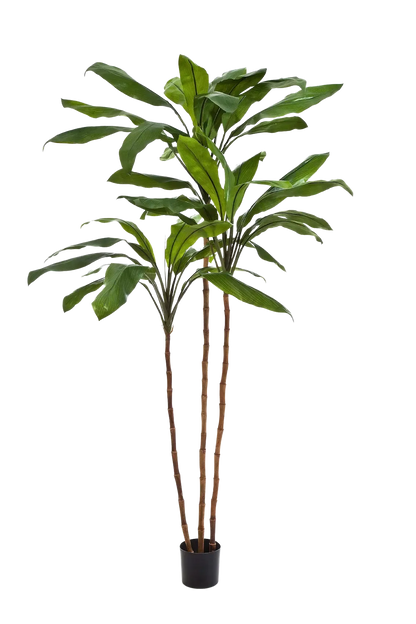 Künstliche Lilie - Isabell, 210 cm, Kunstbaum von aplanta, in Natur, für drinnen