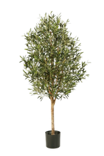Künstlicher Olivenbaum - Ilaria, 170 cm, Kunstbaum von aplanta, mit Echtholzstamm, in Natur, für drinnen