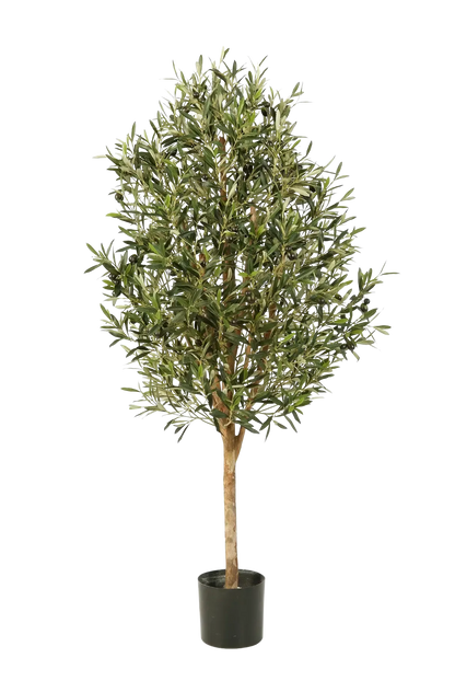 Künstlicher Olivenbaum - Ilaria, 140 cm, Kunstbaum von aplanta, mit Echtholzstamm, im schwarzen Topf, in Natur, für drinnen