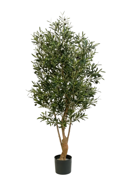 Künstlicher Olivenbaum - Ian, 150 cm, Kunstbaum von aplanta, mit Echtholzstamm, in Natur, für drinnen