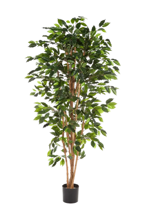 Künstlicher Ficusbaum – Sylvior | 150 cm