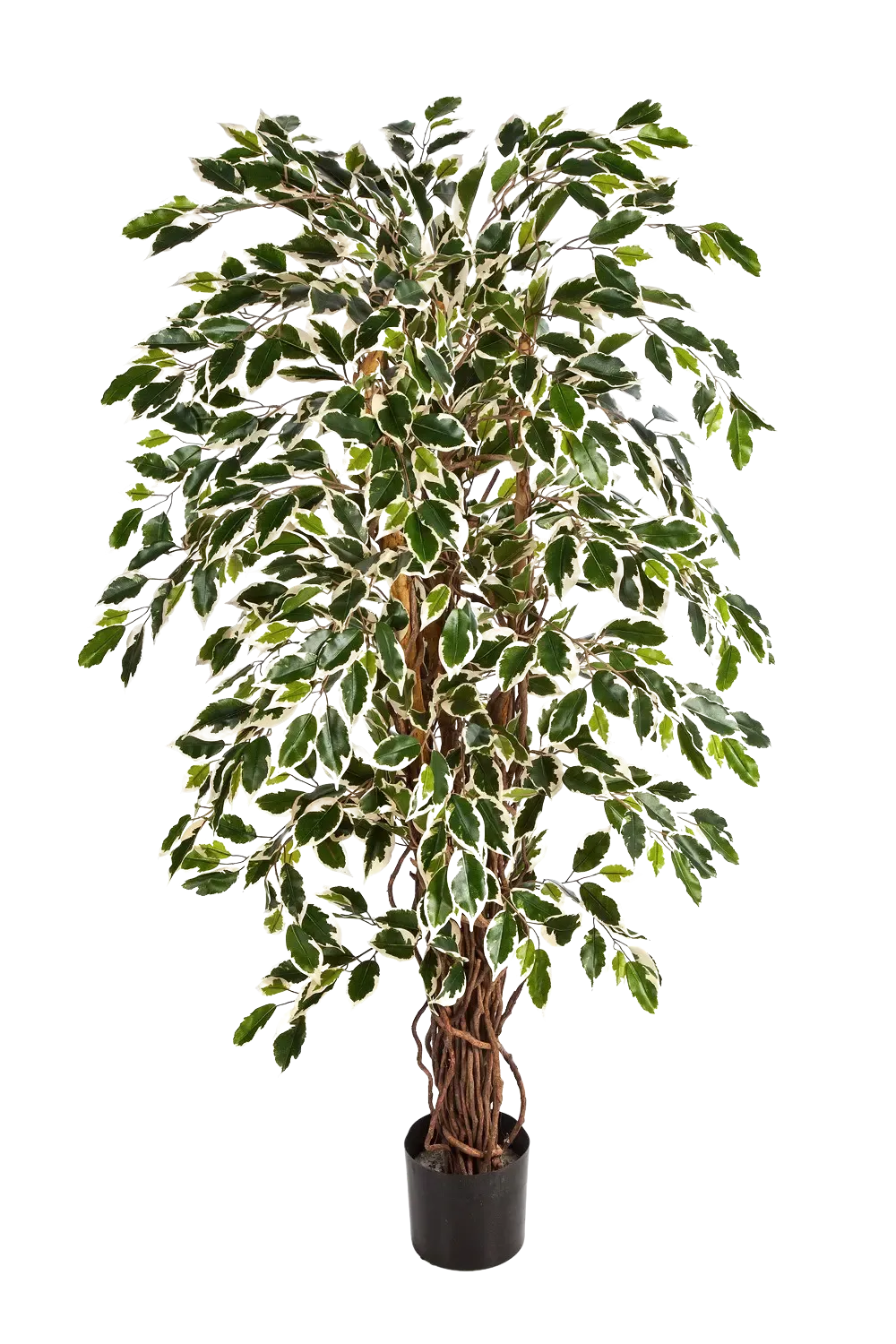 Künstlicher Ficus - Ravian, 120 cm, Kunstbaum von aplanta, mit Echtholzstamm, inkl. Startertopf, in Natur, für drinnen