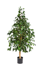 Künstlicher Ficus - Katja, 210 cm, Kunstbaum von aplanta, in Natur, für drinnen