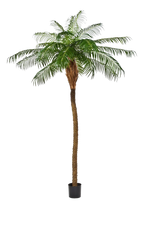 Künstliche Phoenixpalme - Zephyra, 210 cm, Kunstbaum von aplanta, in Grün, für drinnen