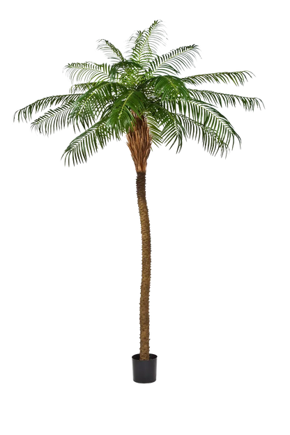 Künstliche Phoenixpalme - Zephyra, 180 cm, Kunstbaum von aplanta, in Grün, für drinnen